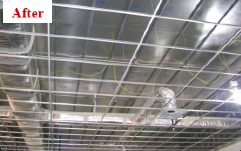 Project Profile Featured Image